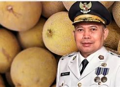 Produksi Melon Di Indonesia